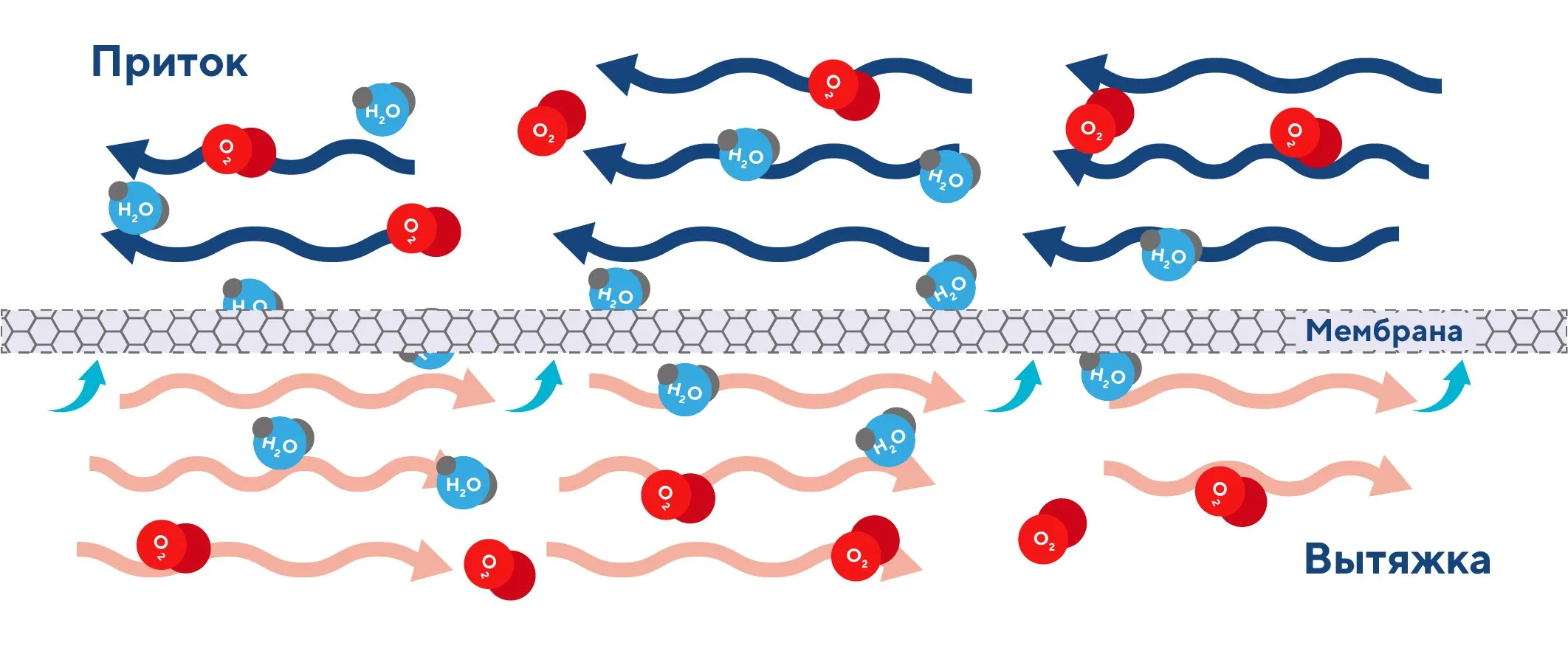 Процесс передачи влаги через материал рекуператора