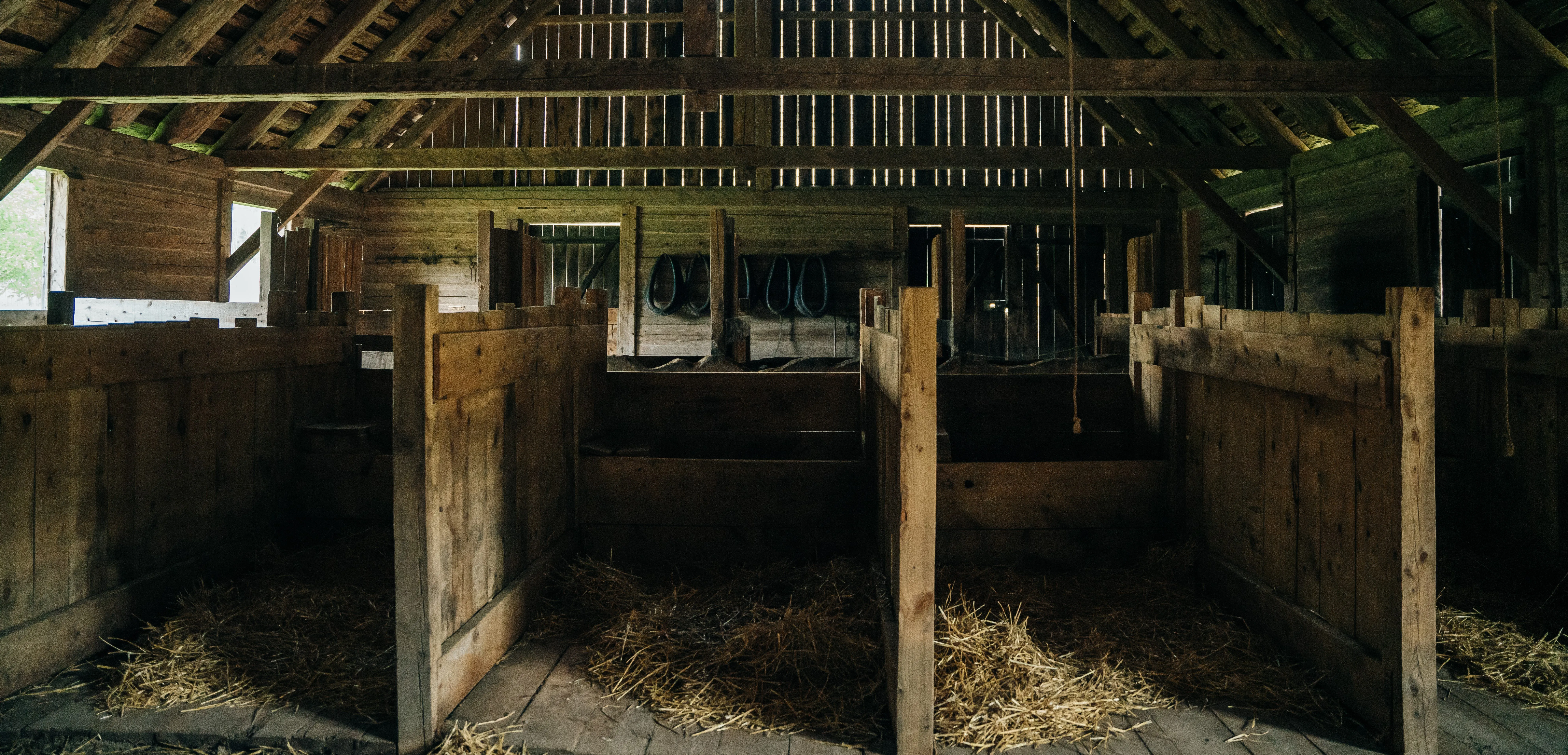 Вентиляция в конюшне: наш опыт