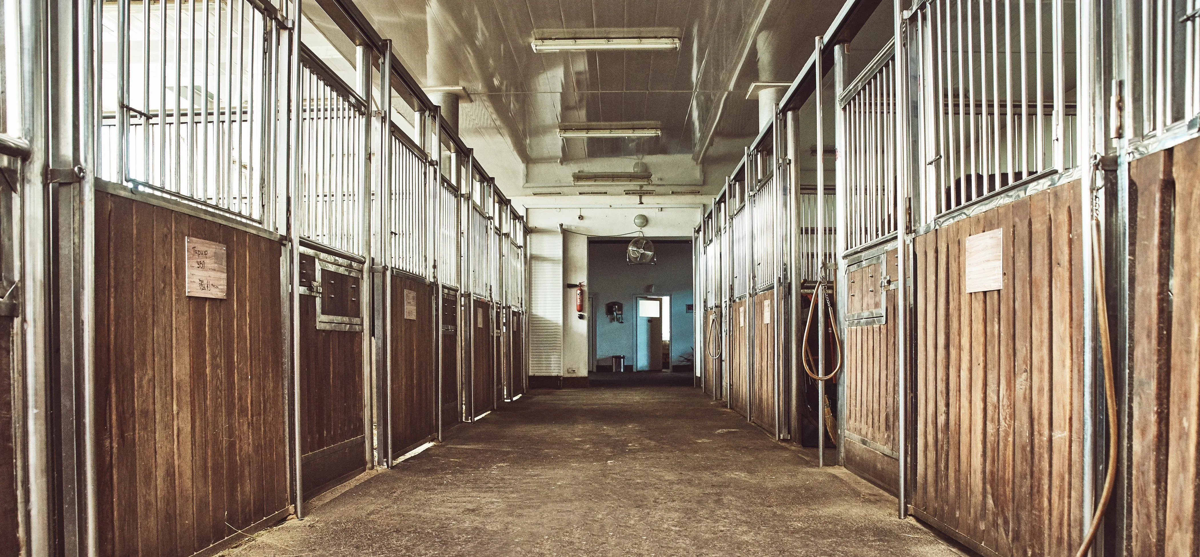 Вентиляция в конюшне: наш опыт