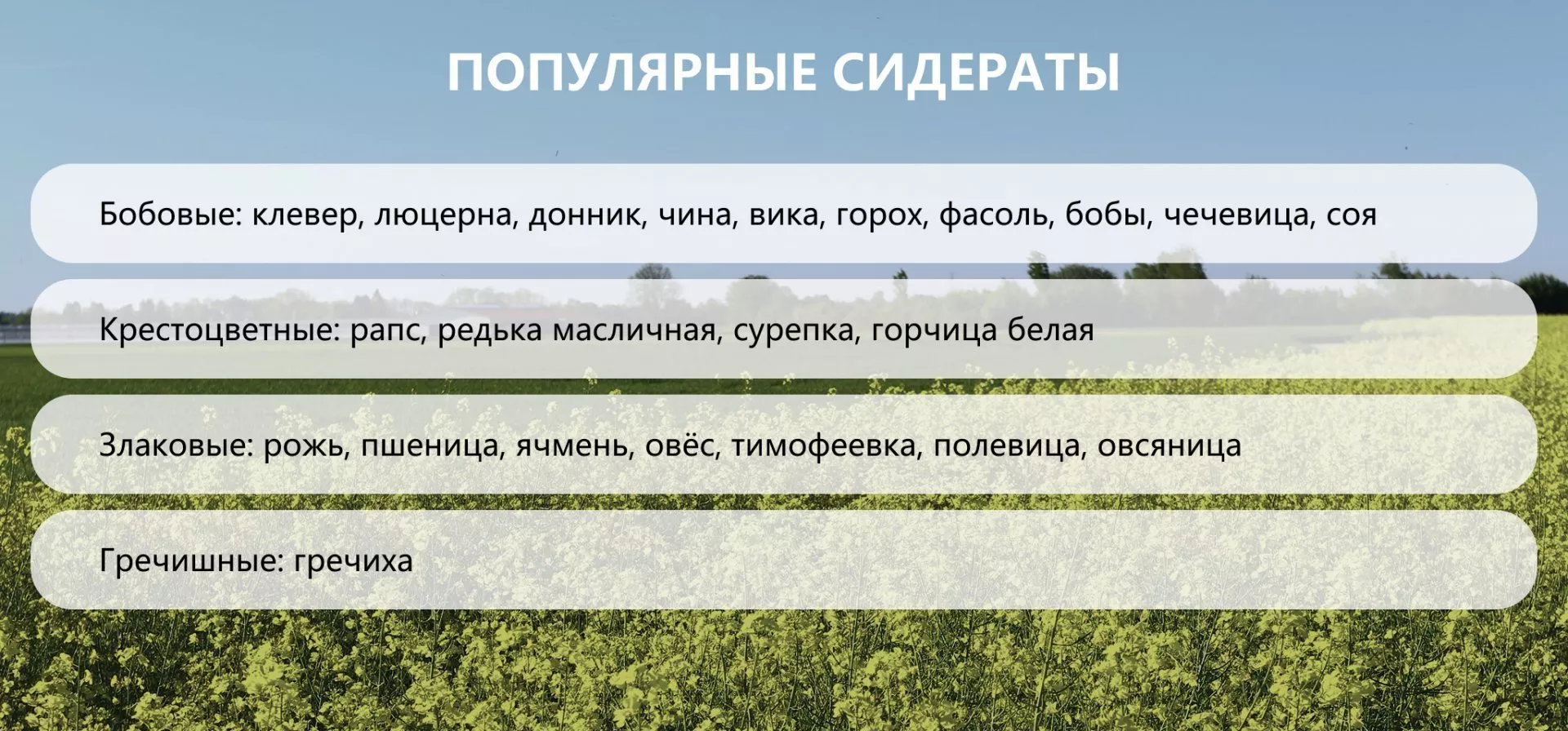 Экодом – современные стандарты автономного жилища