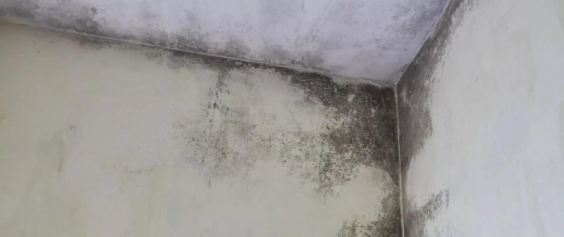 Вентиляция частного дома: климатизация бассейна