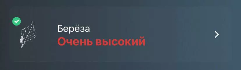 Сезон аллергии: руководство по выживанию