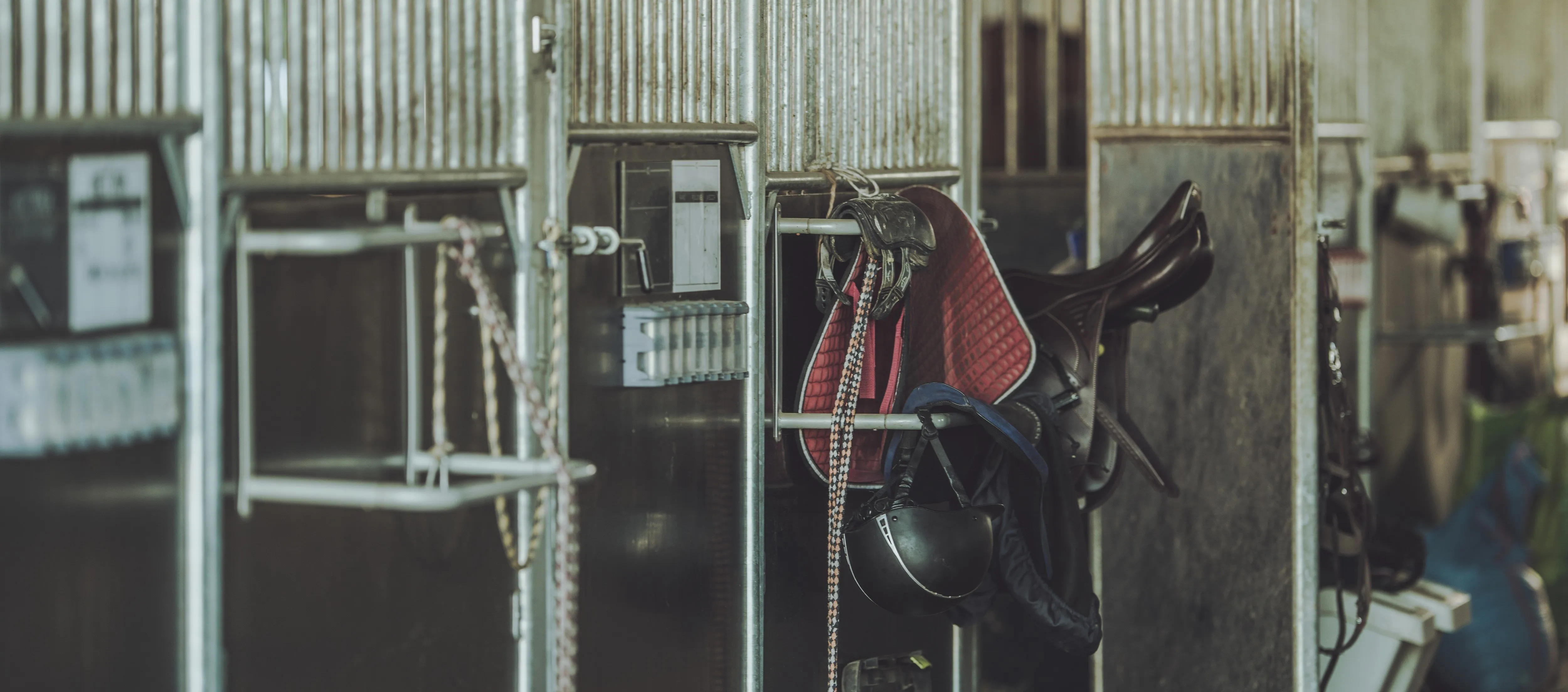 Вентиляция в конюшне: наш опыт