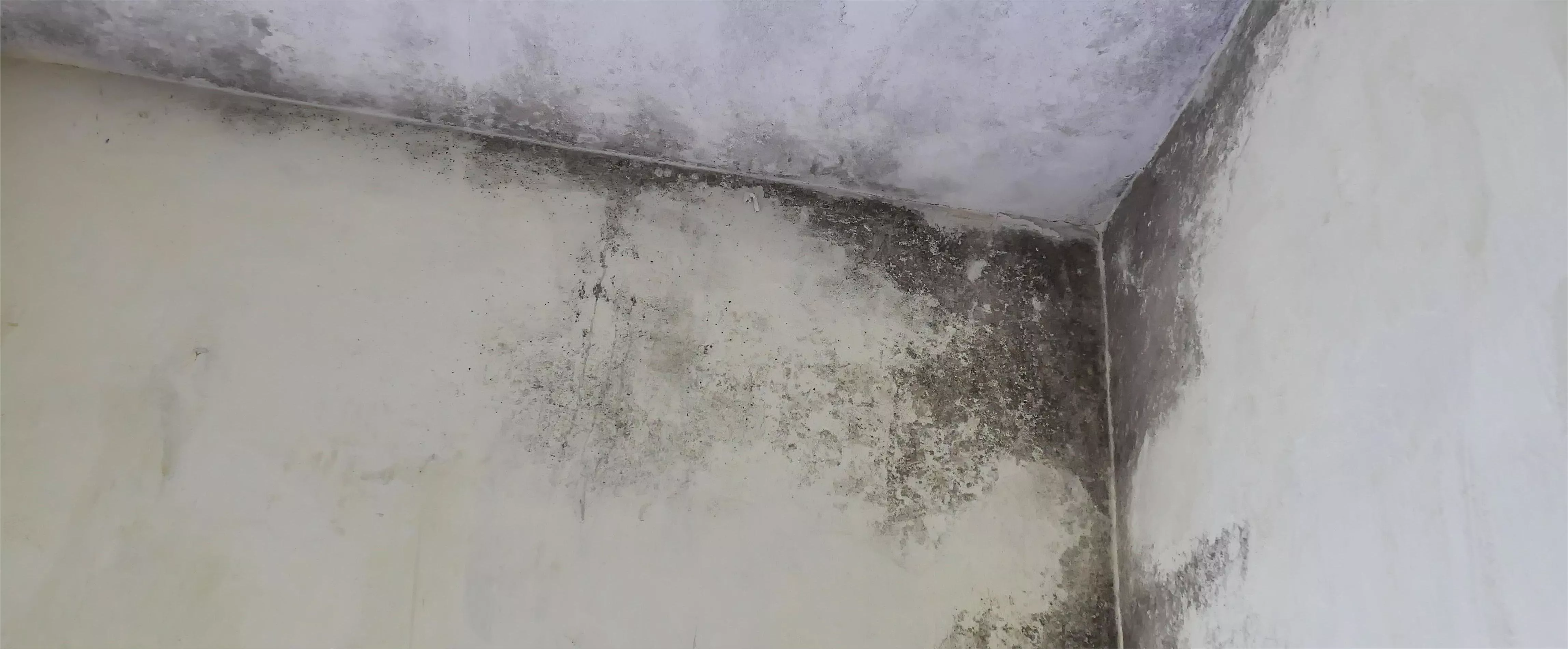 Вентиляция подвала жилого дома и погреба на даче