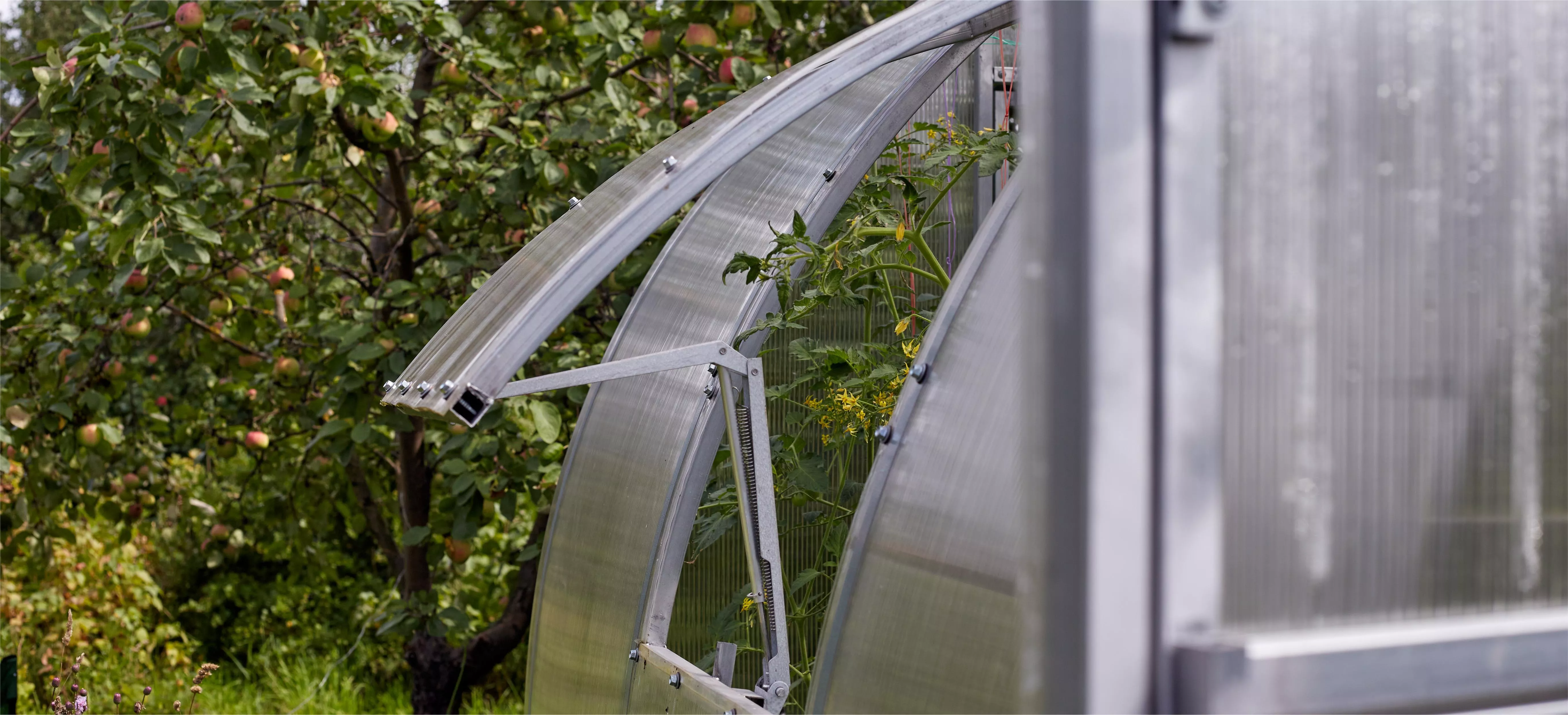 Вентиляция в теплице