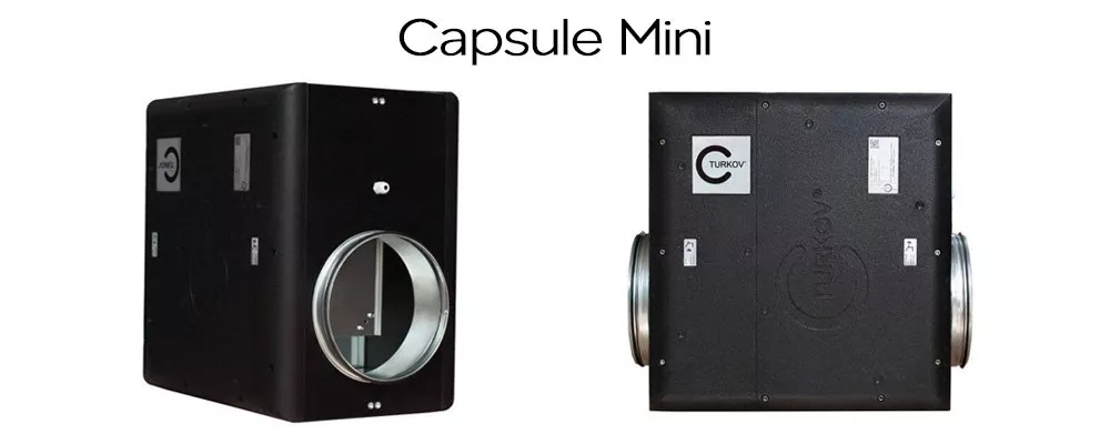 capsule mini.jpg