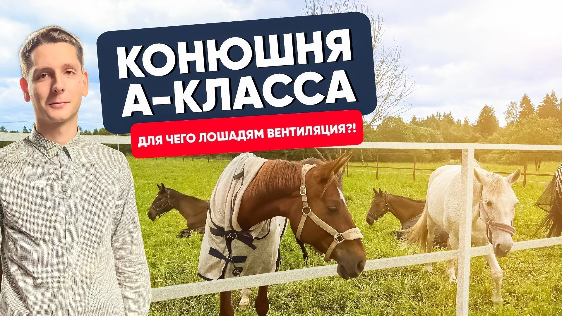 Конюшня А-КЛАССА. Для чего лошадям вентиляция?! Конюшня А-КЛАССА. Для чего лошадям вентиляция?!
