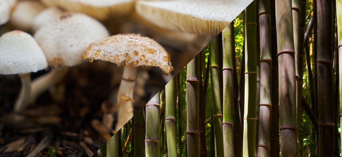 Экологические материалы в строительстве