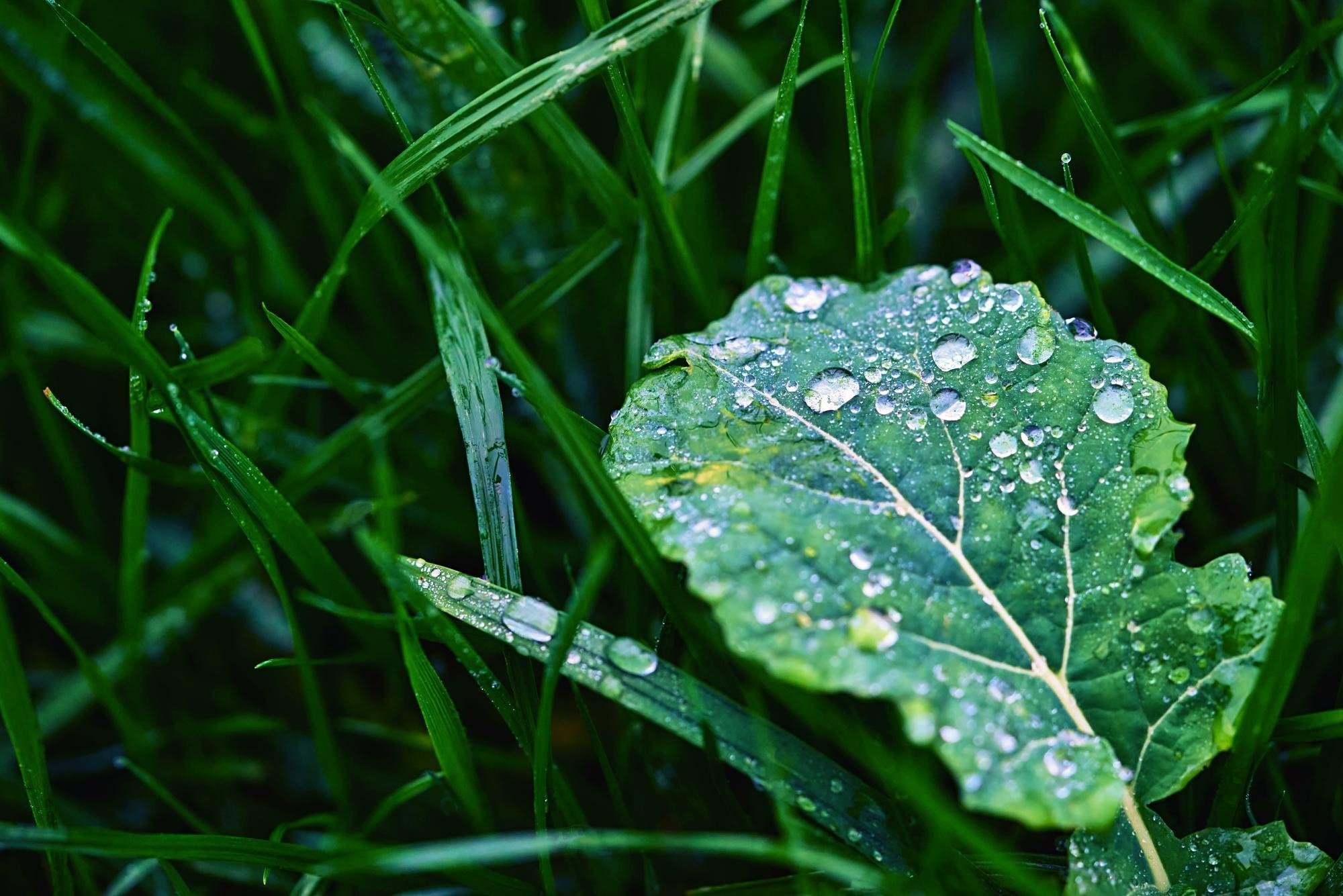 Влажность и увлажнение воздуха