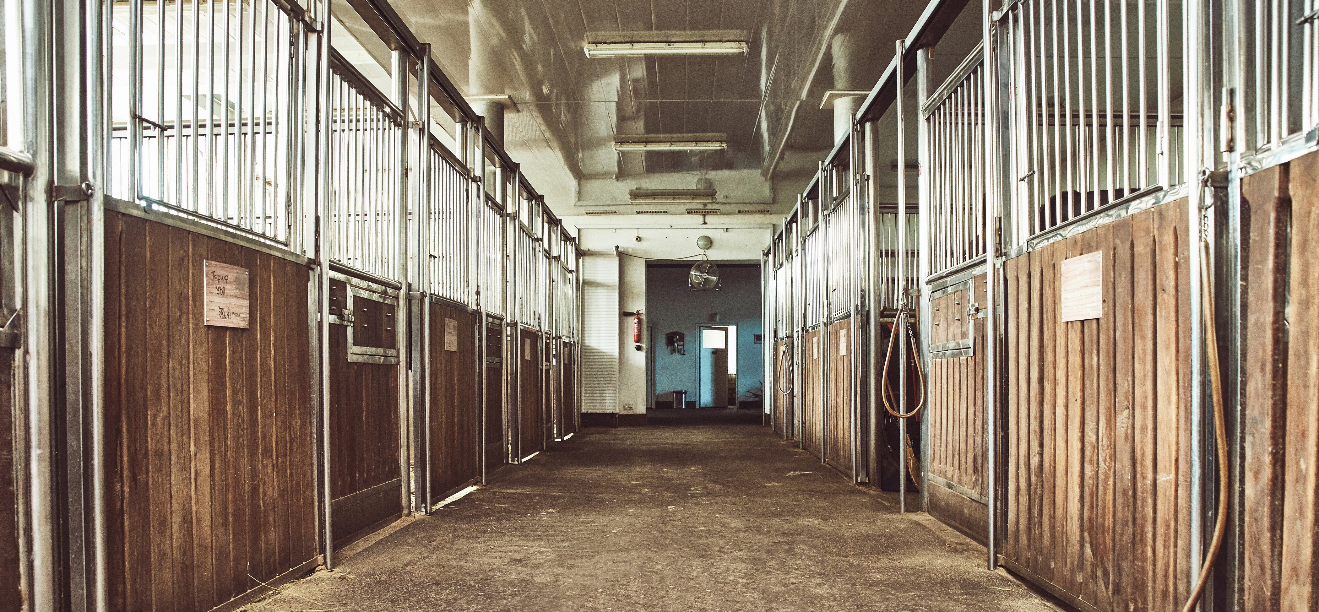 Вентиляция в конюшне: наш опыт