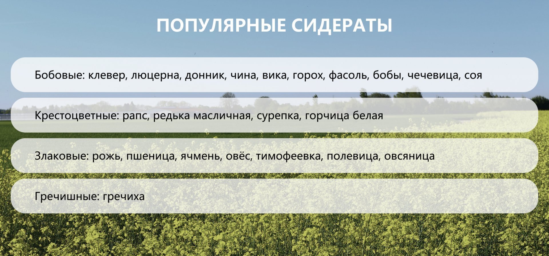 Экодом – современные стандарты автономного жилища