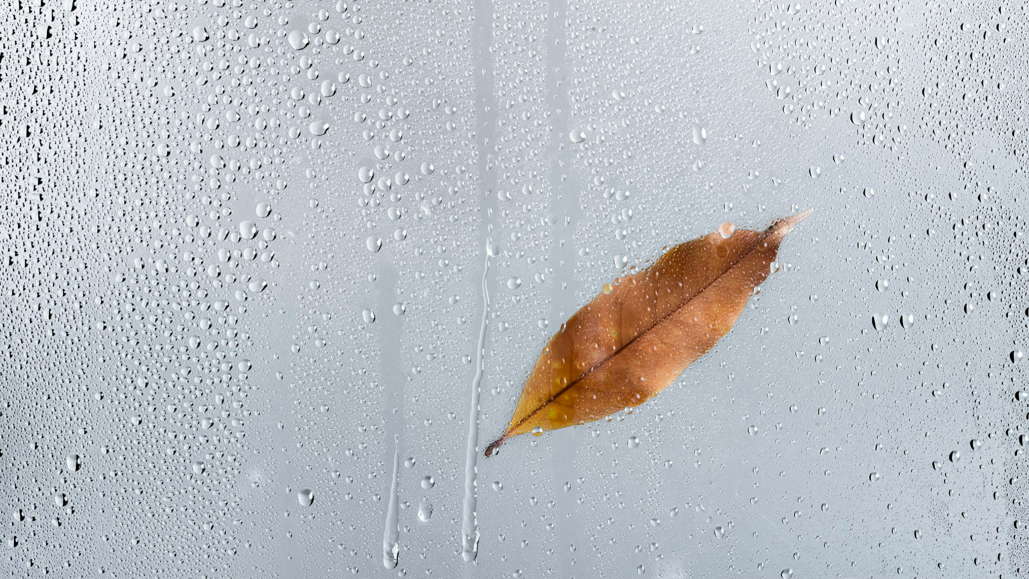 Влажность и увлажнение воздуха