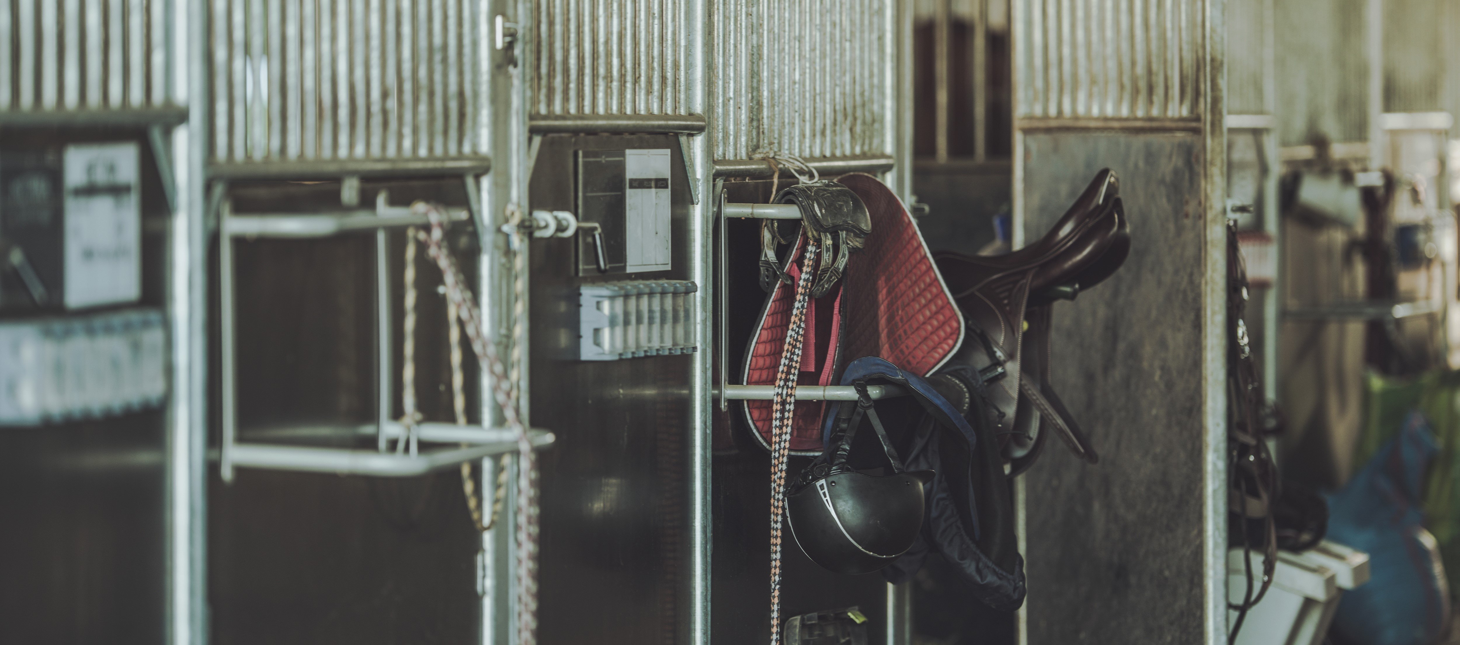 Вентиляция в конюшне: наш опыт