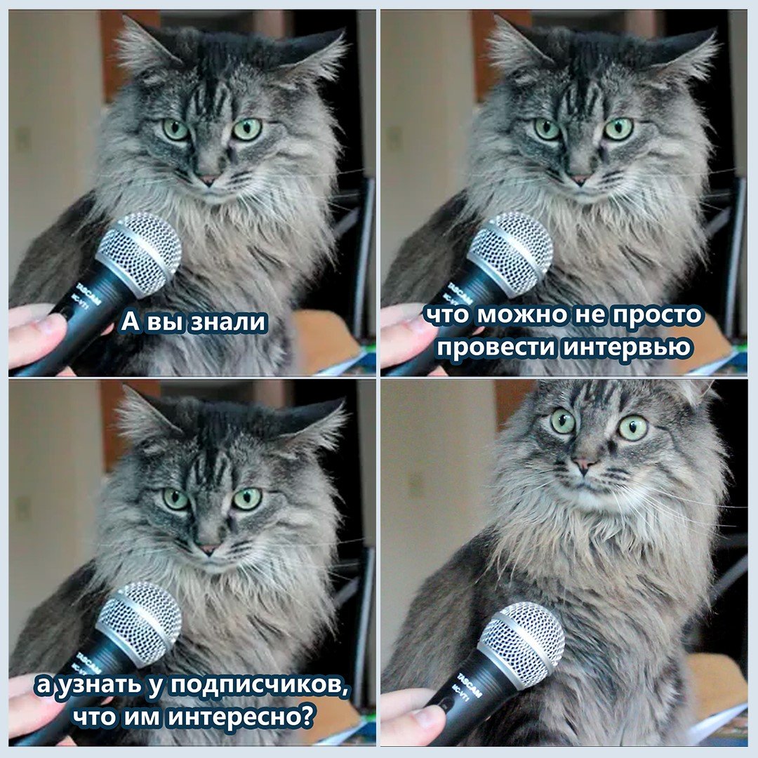 «Короче, мы сидели в гараже». От дохода 50$ к выходу за рубеж