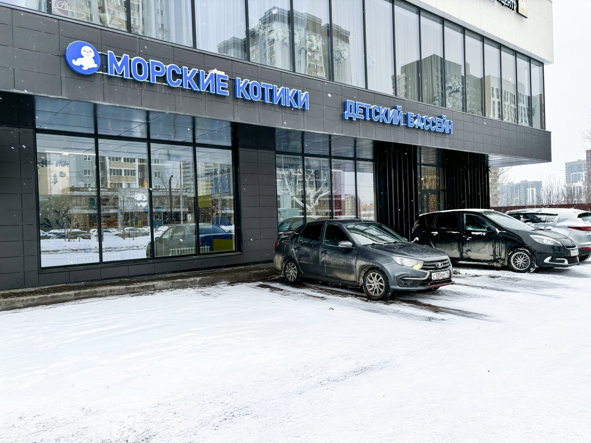 Детский бассейн «Морские котики»