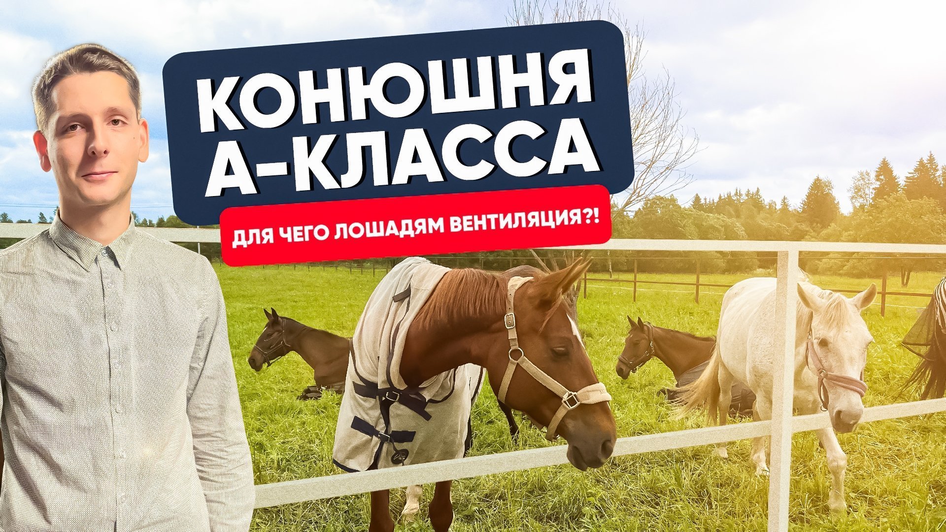Конюшня А-КЛАССА. Для чего лошадям вентиляция?! Конюшня А-КЛАССА. Для чего лошадям вентиляция?!