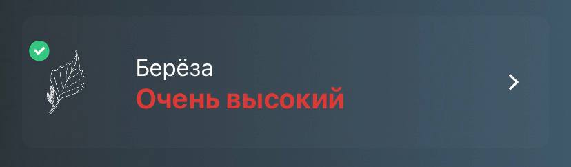 Сезон аллергии: руководство по выживанию Сезон аллергии: руководство по выживанию