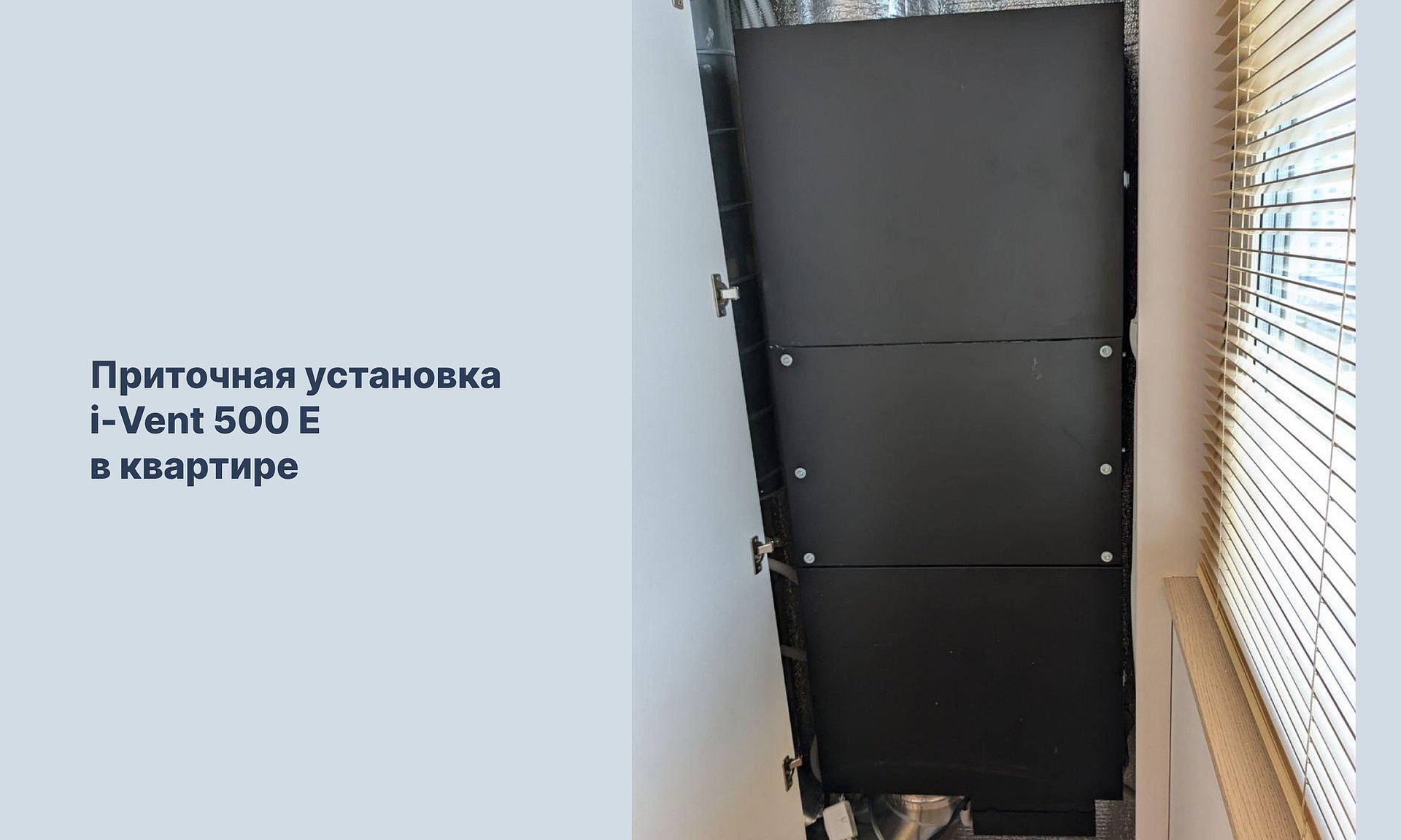 7 растений, которые улучшают качество воздуха в доме 7 растений, которые улучшают качество воздуха в доме